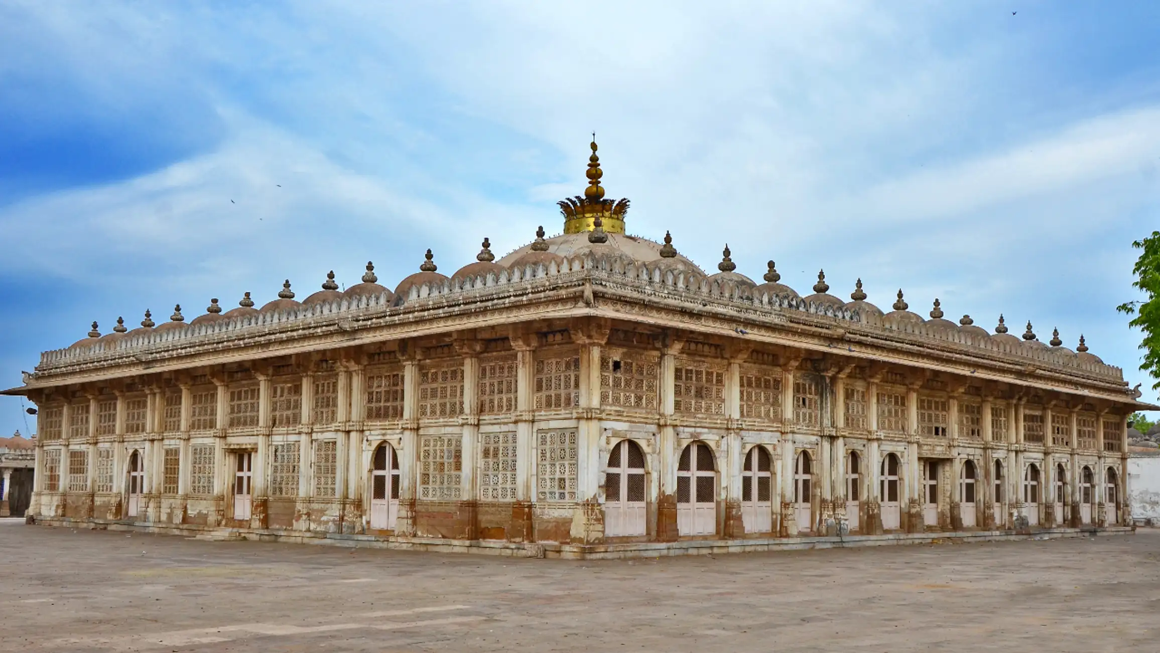 De Ahmedabad: Tour Privado de 4 Dias em Gujarat com Safari